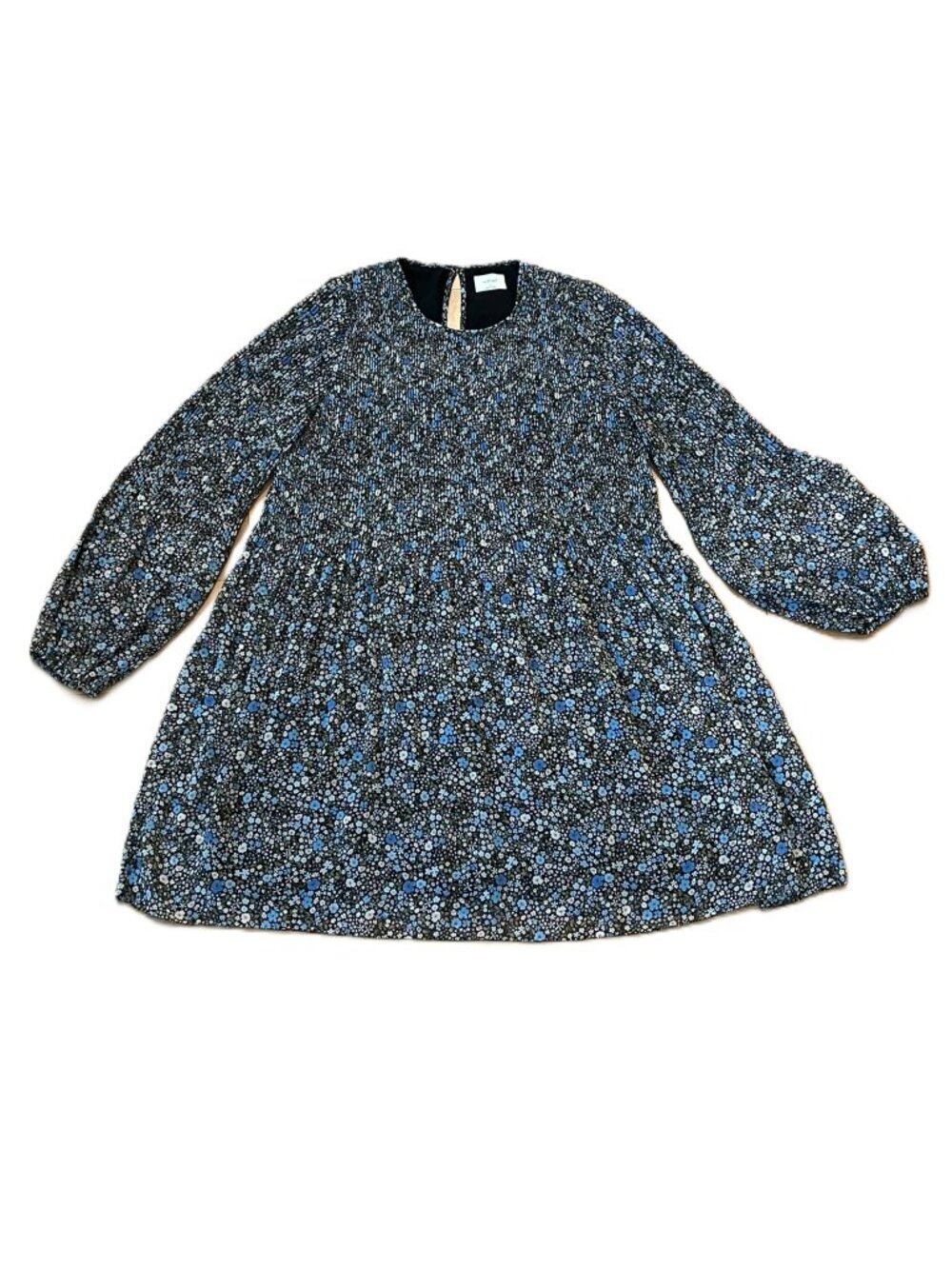 Aritzia Wilfred Daydreamer Mini Dress Floral Pleated Chiffon Ethereal Size Small